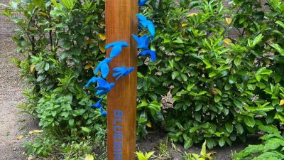 ‘Hout love kunst’