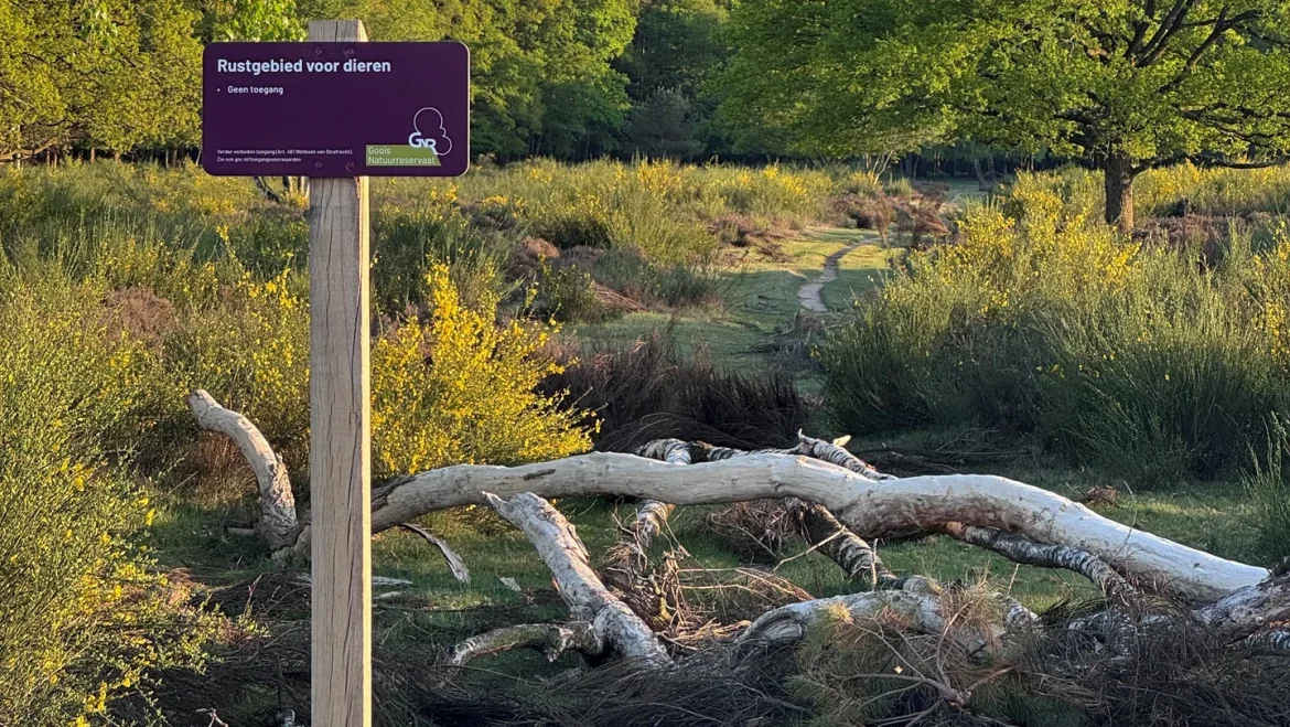 Gooise sluippaadjes op slot: ‘Rust voor dieren is geen luxe’