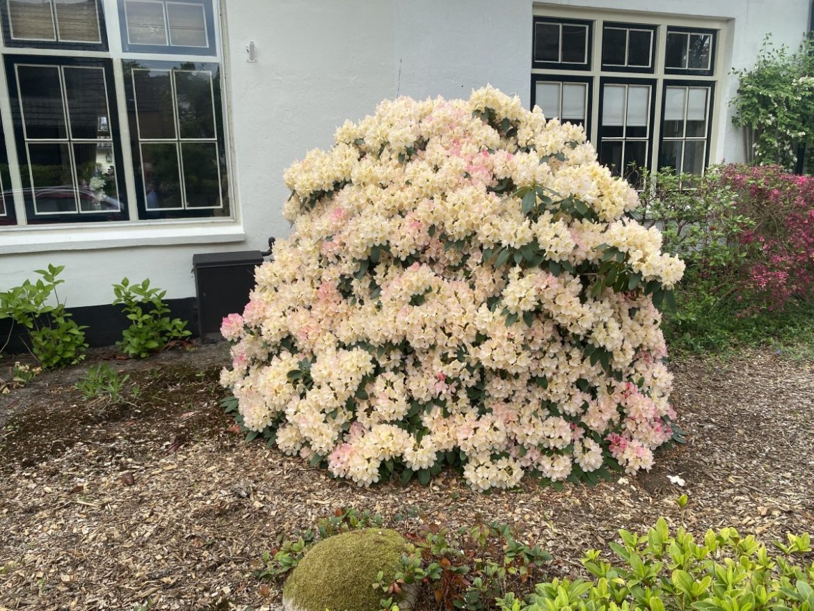 Zaterdag: 1475x bezoekers +Top 10 meest gelezen berichten