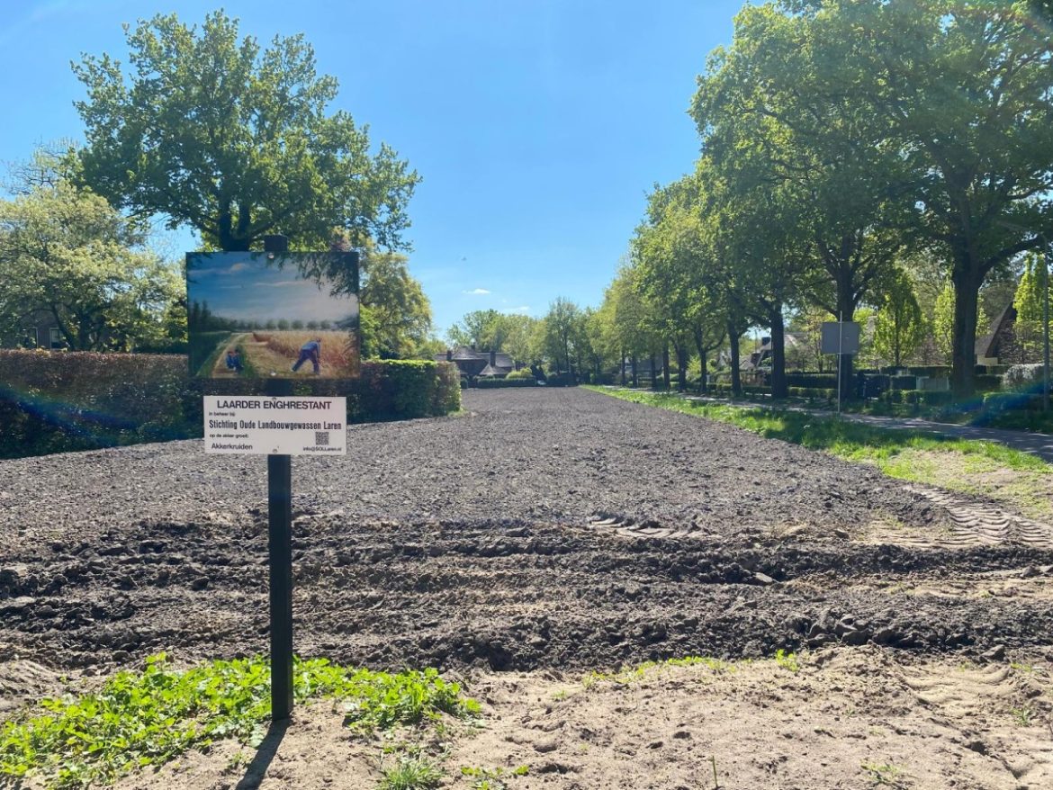 Zondag: 2090x bekeken +Top 10 meest gelezen berichten