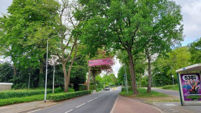 Dinsdag: 1353x bekeken +Top 10 meest gelezen erichten