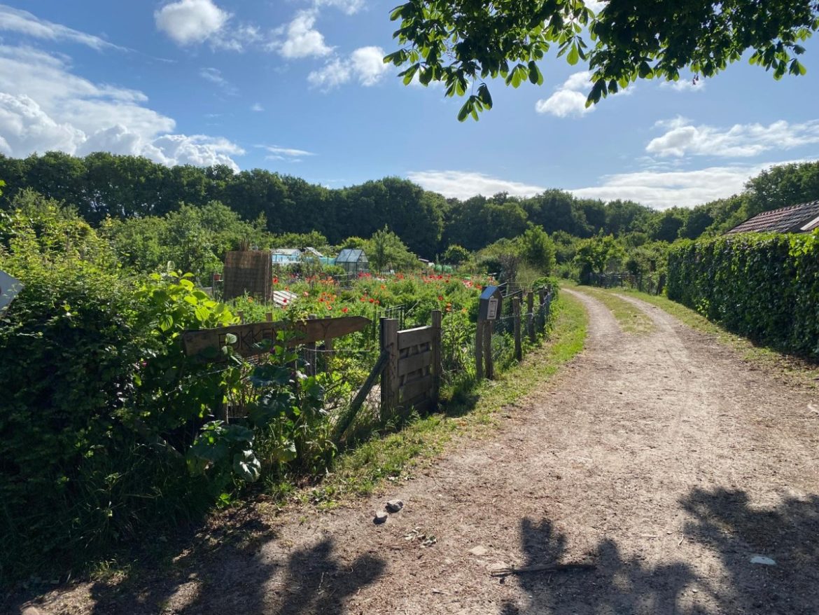 Vrijdag: 1584x bekeken + Top 10 meest gelezen berichten