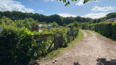Vrijdag: 1584x bekeken + Top 10 meest gelezen berichten