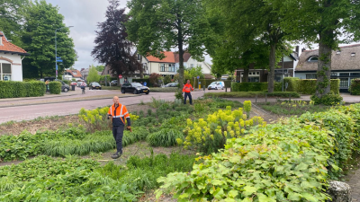 Donderdag: 1752x bekeken +Top 10 meest gelezen berichten
