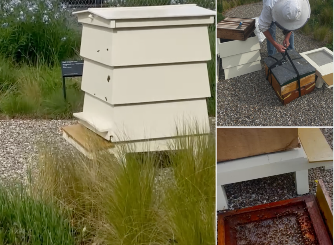 10.000 nieuwe werknemers gestart bij Singer Laren!