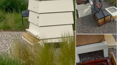 10.000 nieuwe werknemers gestart bij Singer Laren!