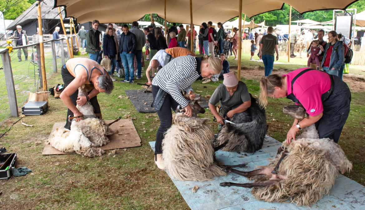 Welkom op het Schaapscheerdersfeest op zaterdag 7 juni!