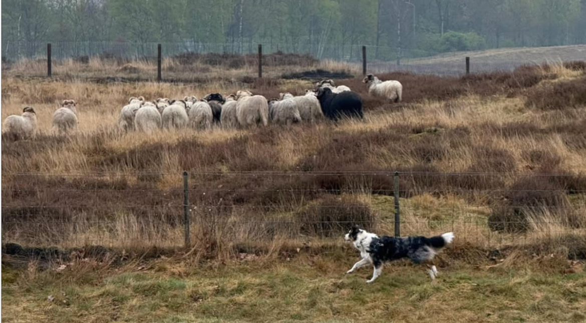 Zaterdag: 1390x bekeken + Top 10 meest gelezen berichten