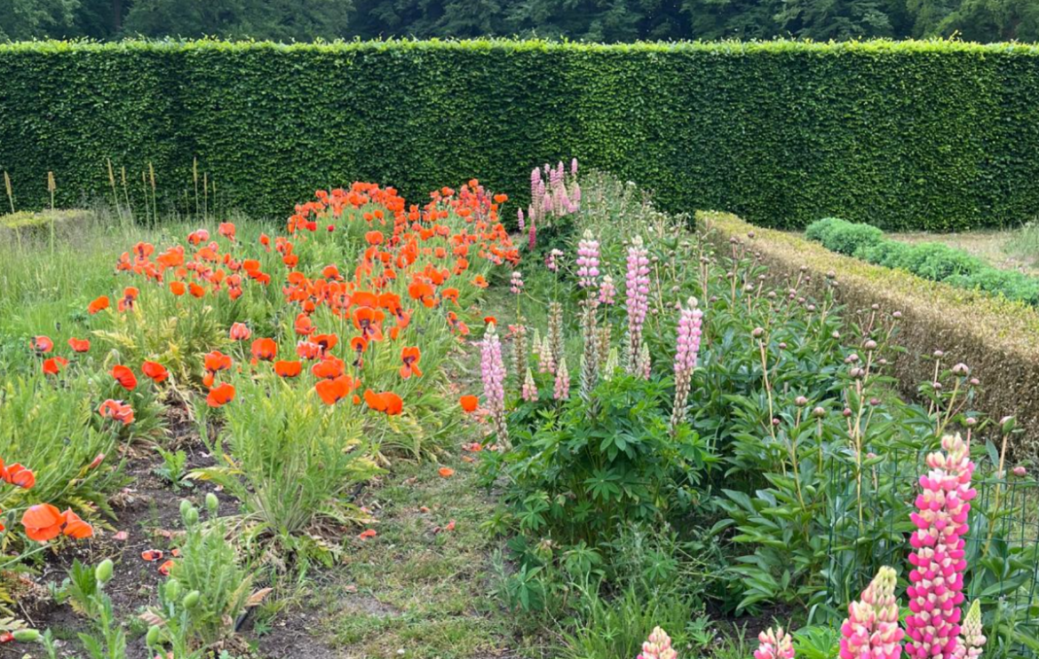 Donderdag 2753x bekeken +Top 10 meest gelezen berichten