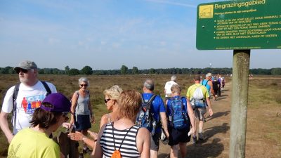 Jubilerende Gooise vierdaagse klaar voor wandellegioen