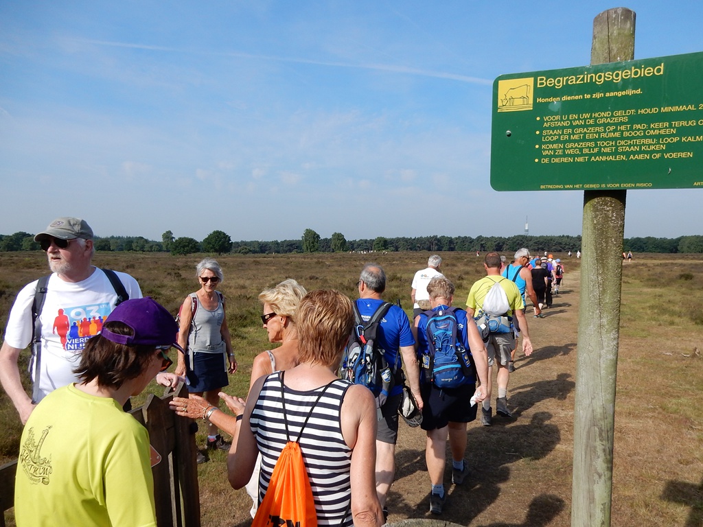 Jubilerende Gooise vierdaagse klaar voor wandellegioen