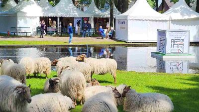 Inschrijven voor de plein-air schilderwedstrijd
