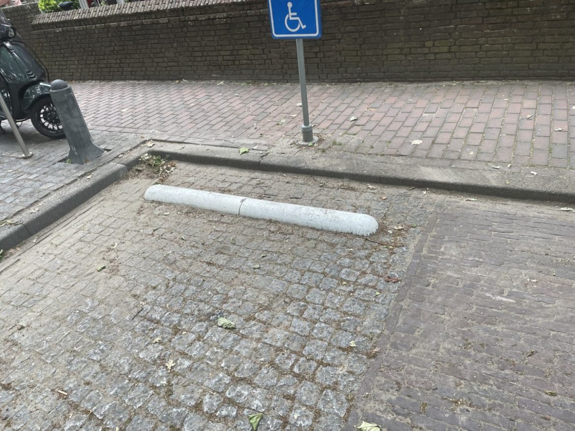 Witte ‘biggeruggen’