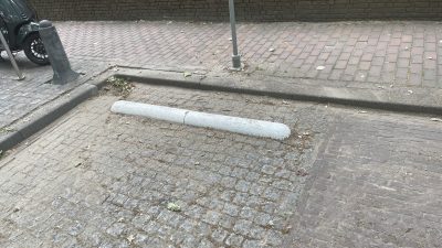 Witte ‘biggeruggen’