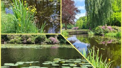 Onze natuur in Gooi en ommeland..