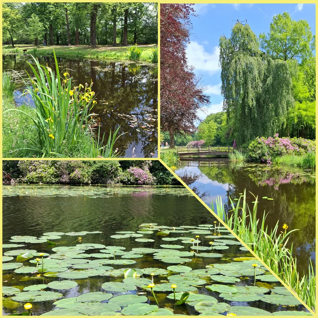 Onze natuur in Gooi en ommeland..