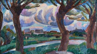 Lokroep van de natuur | Ode aan de knotwilg