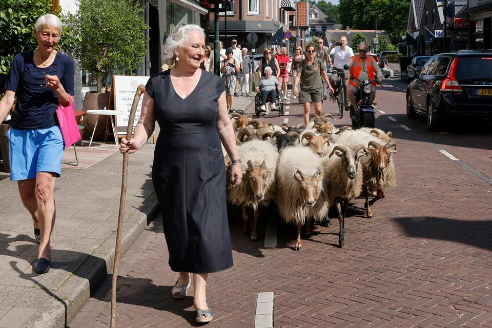 Burgemeester opent schilderwedstrijd