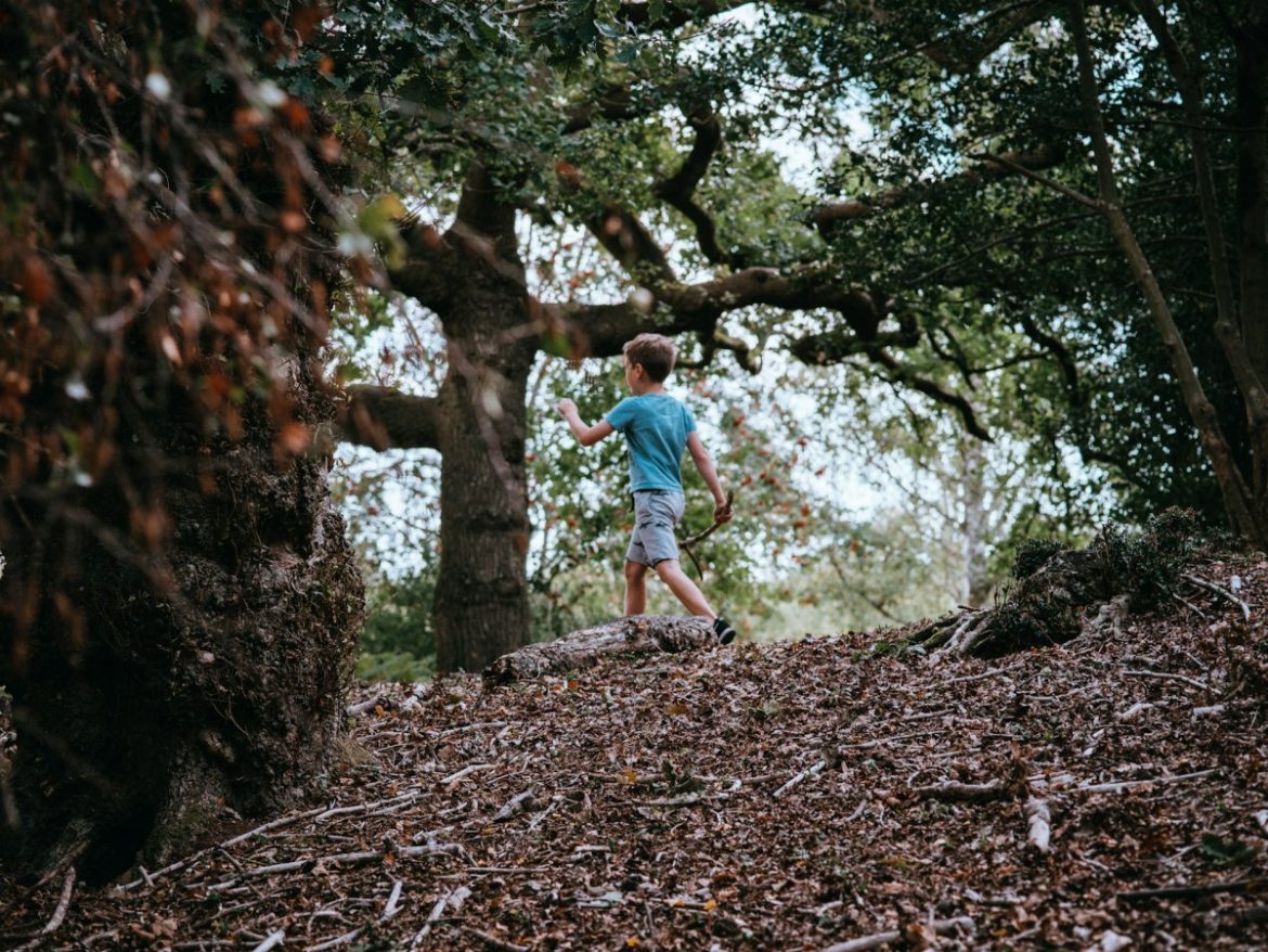 Warm aanbevolen door prinses Irene: excursies voor kinderen van NatuurWijs!