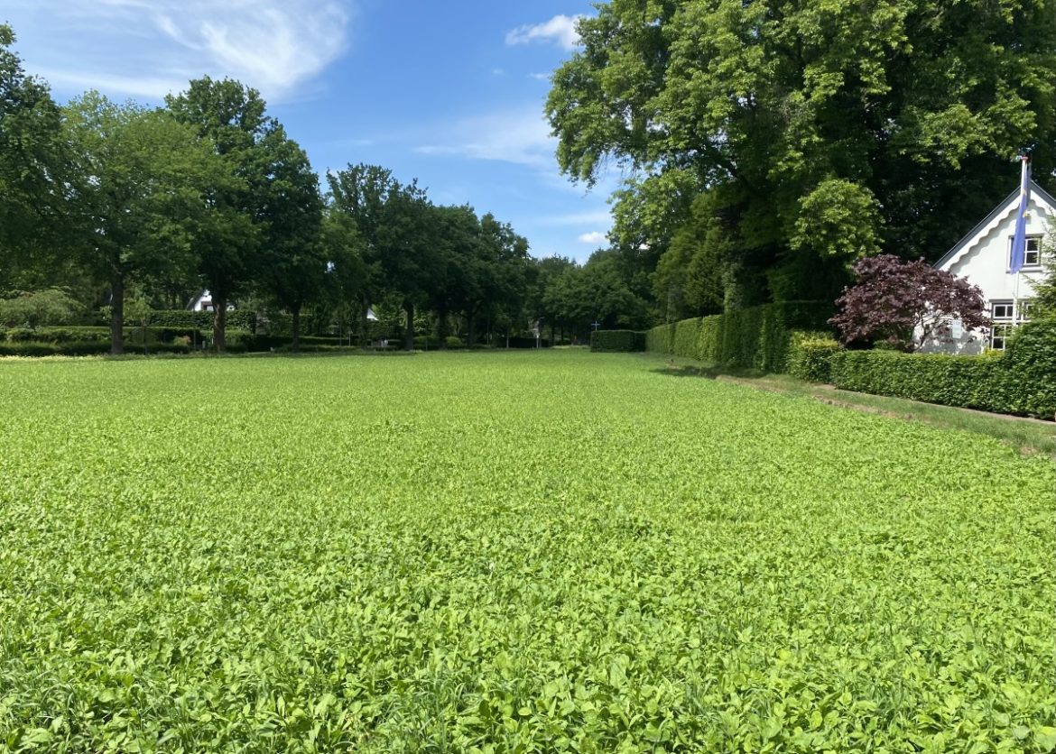 Zaterdag: 1166 x bekeken +Top 10 meest gelezen berichten