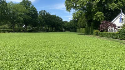 Zaterdag: 1166 x bekeken +Top 10 meest gelezen berichten