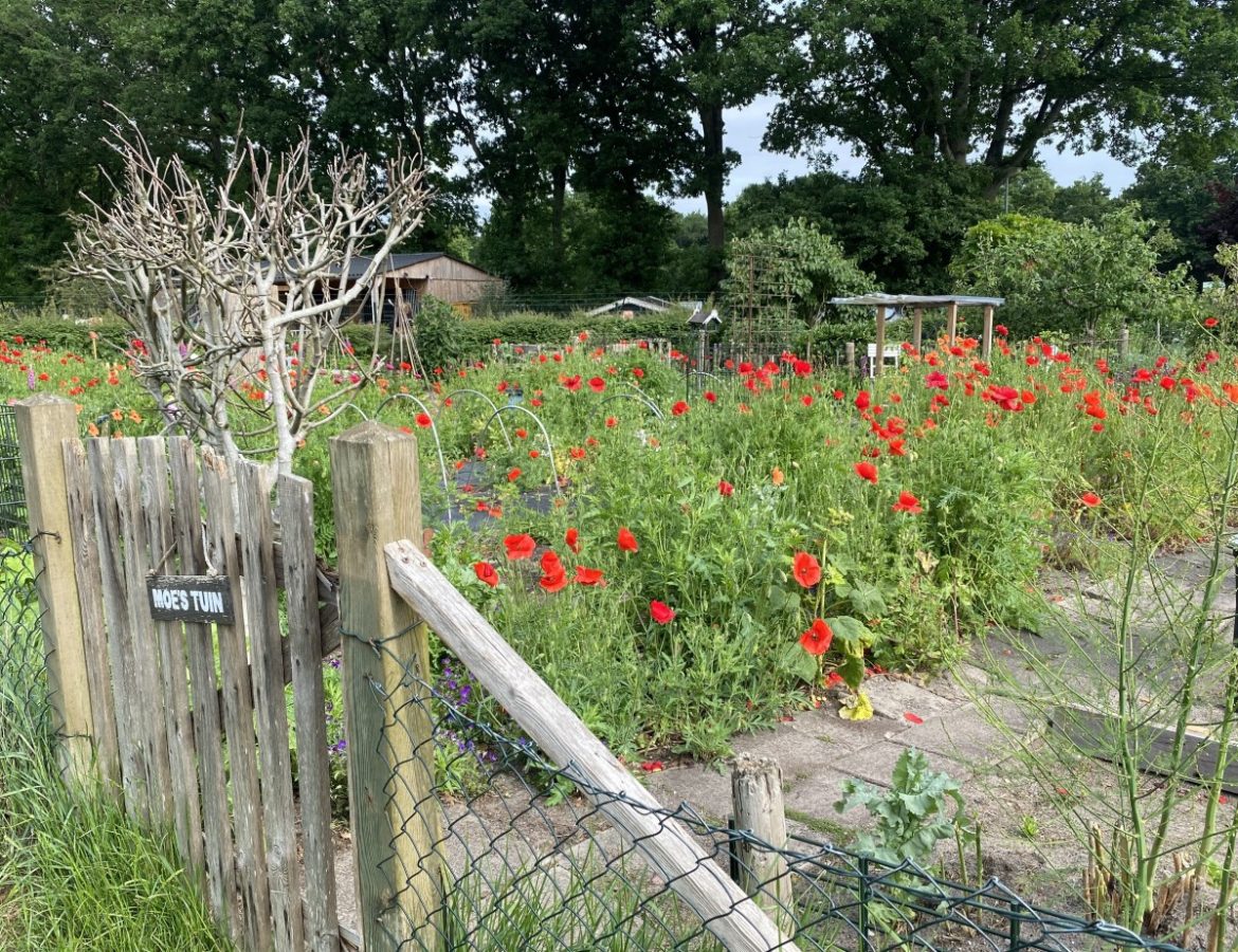 Woensdag 6795x bekeken +Top 10 meest gelezen berichten