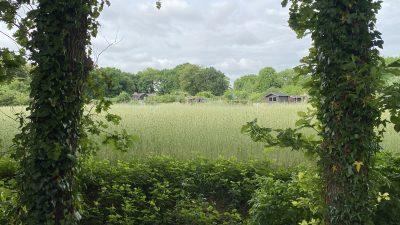 Zondag 2038 x bekeken +Top 10 meest gelezen berichten