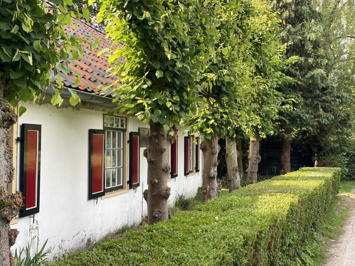 Woensdag: 1283x bekeken +Top 10 meest gelezen berichten