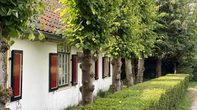 Woensdag: 1283x bekeken +Top 10 meest gelezen berichten