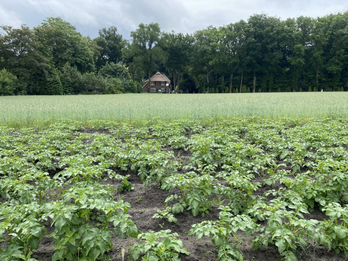 Zaterdag:2359x bekeken +Top 10 meest gelezen berichten