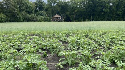 Zaterdag:2359x bekeken +Top 10 meest gelezen berichten