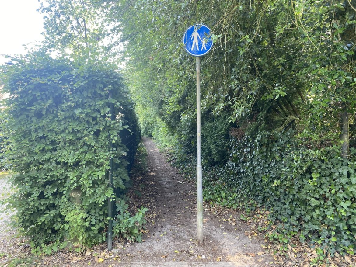 Donderdag:1613x bekeken +Yop 10 meest gelezen berichten