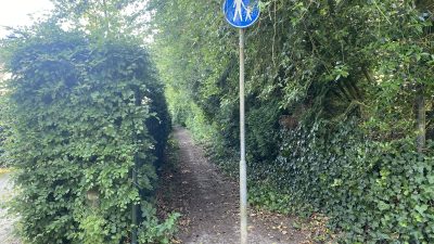 Donderdag:1613x bekeken +Yop 10 meest gelezen berichten