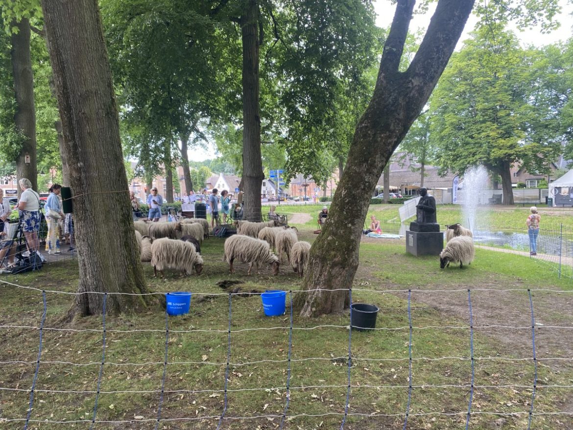 Zondag:1864x bekeken +Top 10 meest gelezen berichten