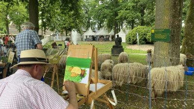 ’Bloedirritant, al die meekijkers?’ De schilders die de schapen op de Larense Brink vereeuwigen zitten er niet mee