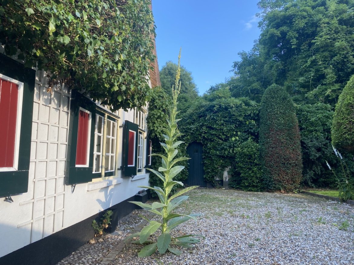 Maandag: 1756x bekeken +Top 10 meest gelezen berichten