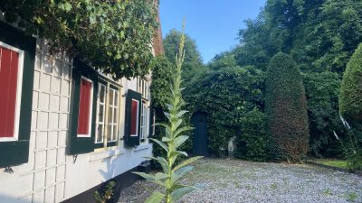 Maandag: 1756x bekeken +Top 10 meest gelezen berichten