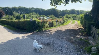 Donderdag: 3596x bekeken +Top 10 meest gelezen berichten