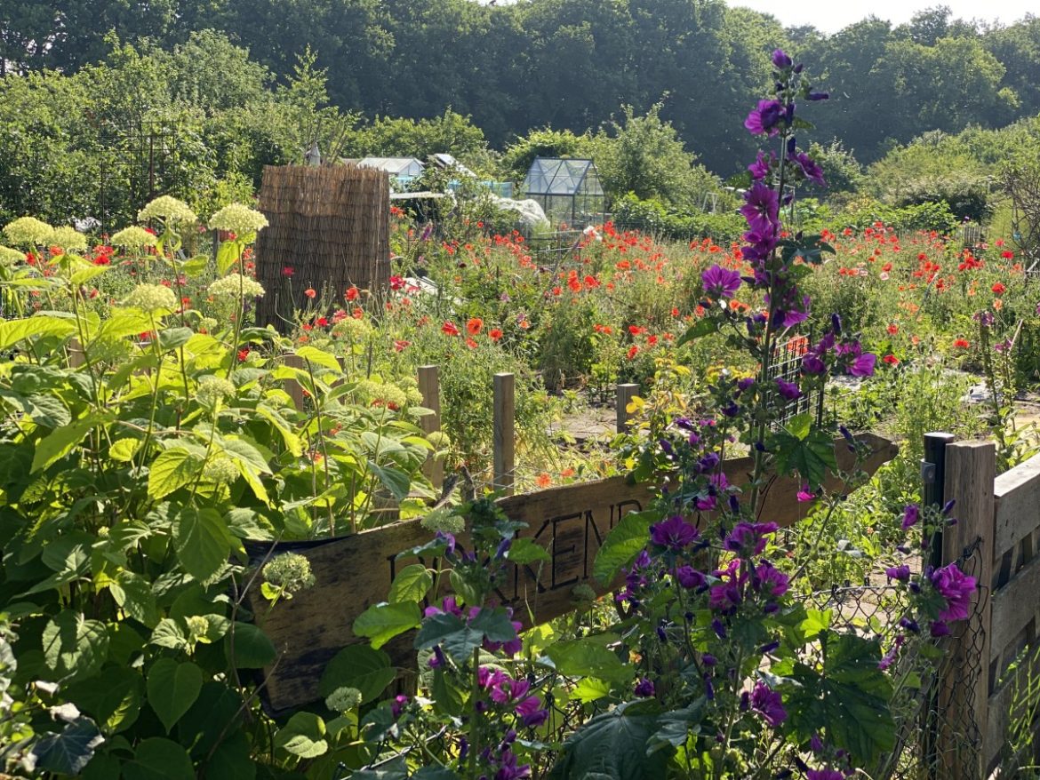 Donderdag:2832x bekeken +Top 10 meest gelezen berichten