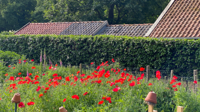Donderdag: 1749x bekeken +Top 10 meest gelezen berichten