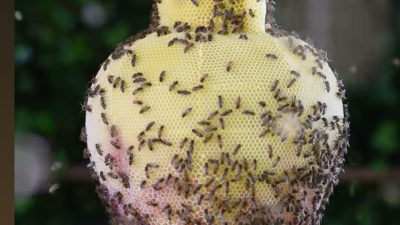 In gesprek met de kunstenaar: Tomáš Libertíny