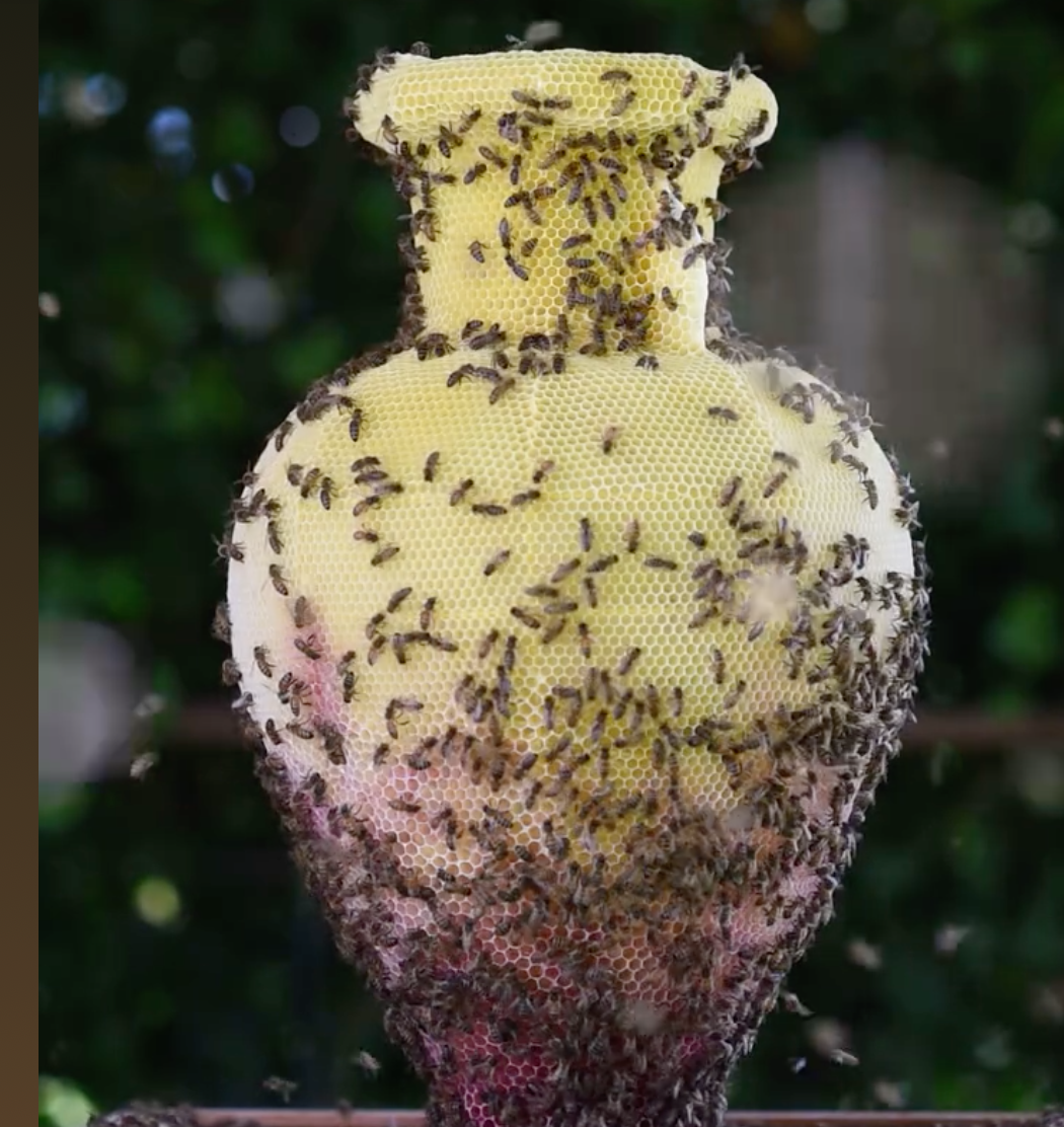 In gesprek met de kunstenaar: Tomáš Libertíny