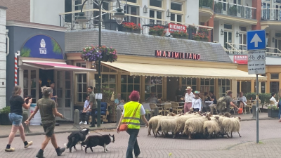 Zaterdag: 1838x bekeken +Top 10 meest gelezen berichten