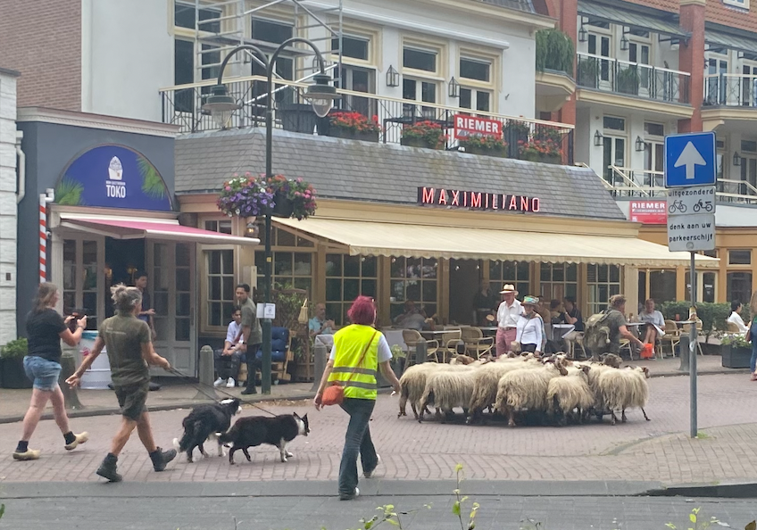 Zaterdag: 1838x bekeken +Top 10 meest gelezen berichten