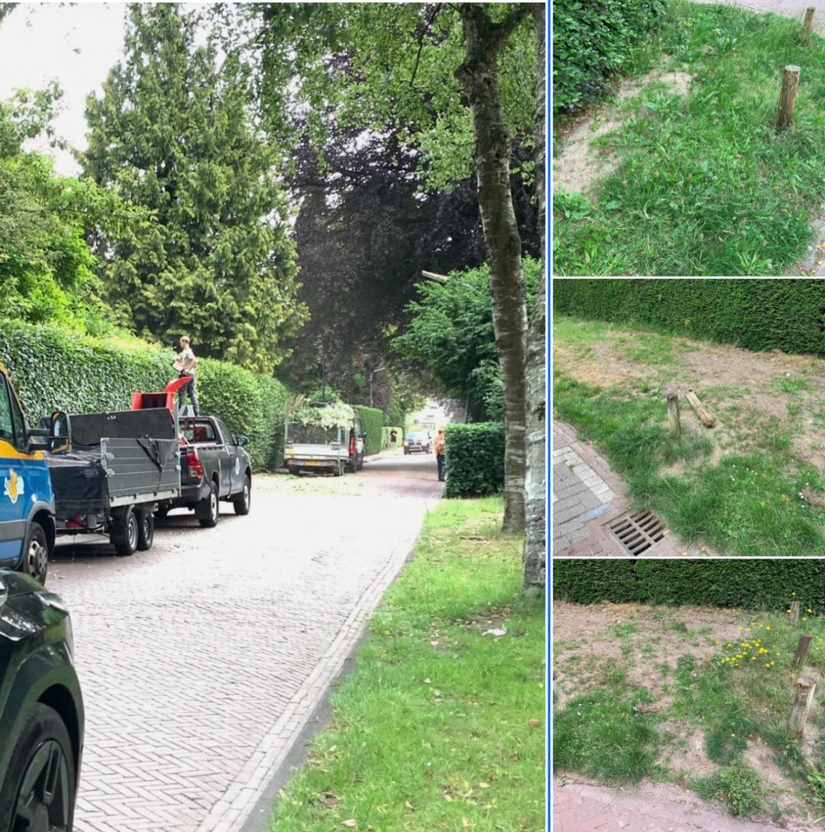 Waarom liggen de bermen er zo erbarmelijk bij?