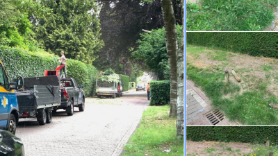 Waarom liggen de bermen er zo erbarmelijk bij?