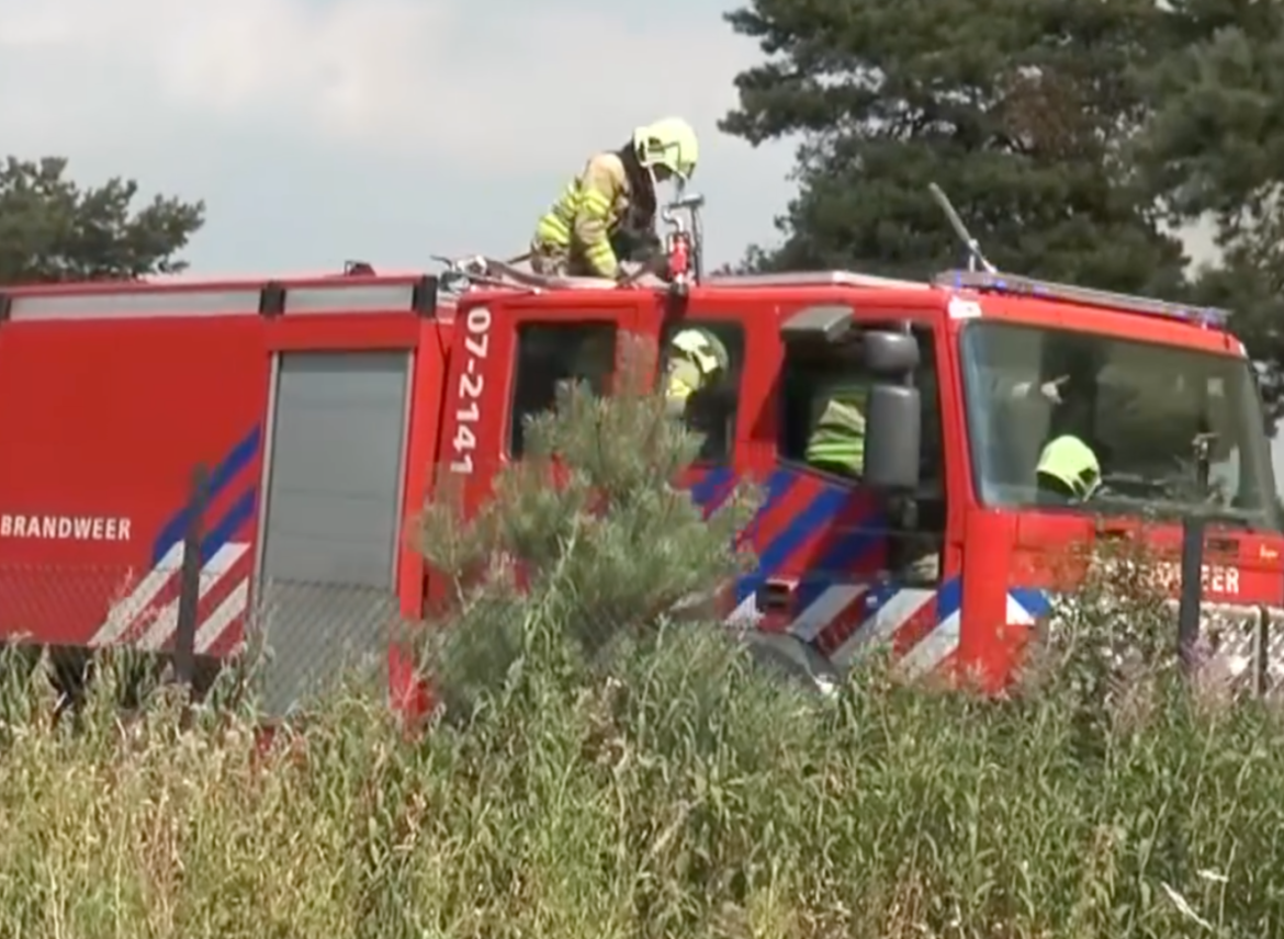 Boom op Hilversumseweg in tweeën gesplitst