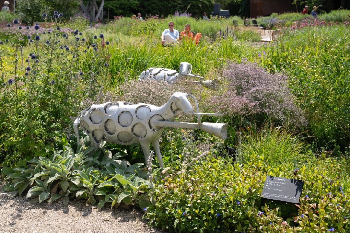 Singertuin ‘Schapen voor Anna’