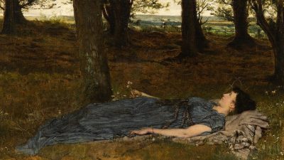 ’Hedendaagse kunstenaars heffen scheiding tussen natuur en mens op: Wij zijn natuur’’