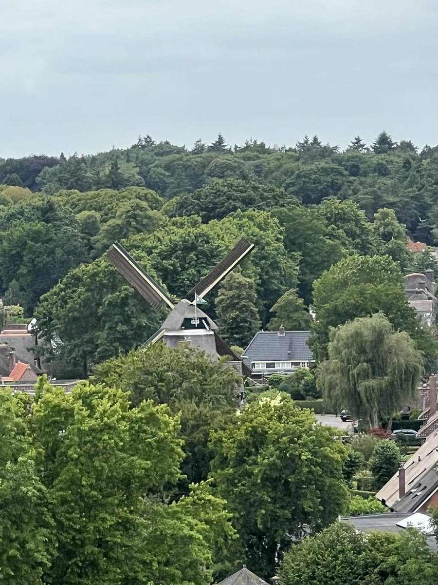 Vanuit het reuzenrad…